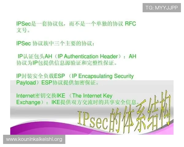 球盟体育官网的安全保障措施详解确保玩家个人信息与资金安全无忧