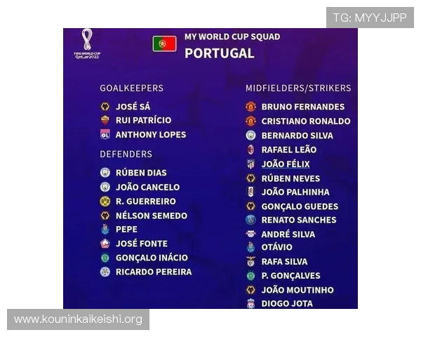 2026年世界杯最新球队名单全解析，详细介绍各参赛国家队阵容变化